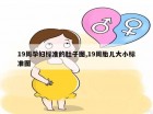 19周孕妇标准的肚子图,19周胎儿大小标准图