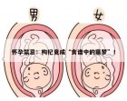 怀孕禁忌：枸杞竟成“食谱中的噩梦”！