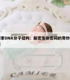 探索DNA分子结构：解密生命密码的奇妙之旅