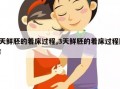 鲜胚的